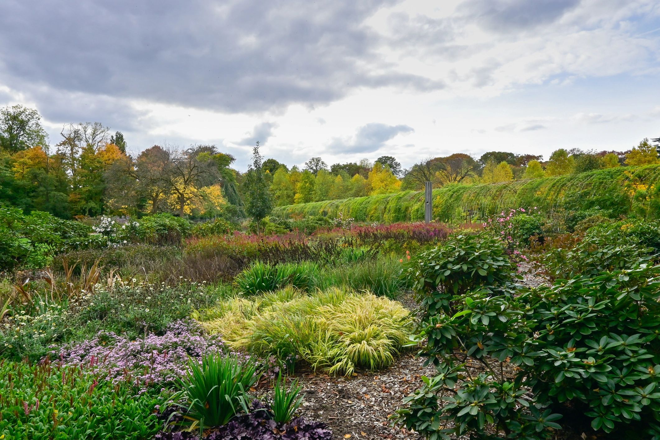 Peaceful botanical garden under a calm sky