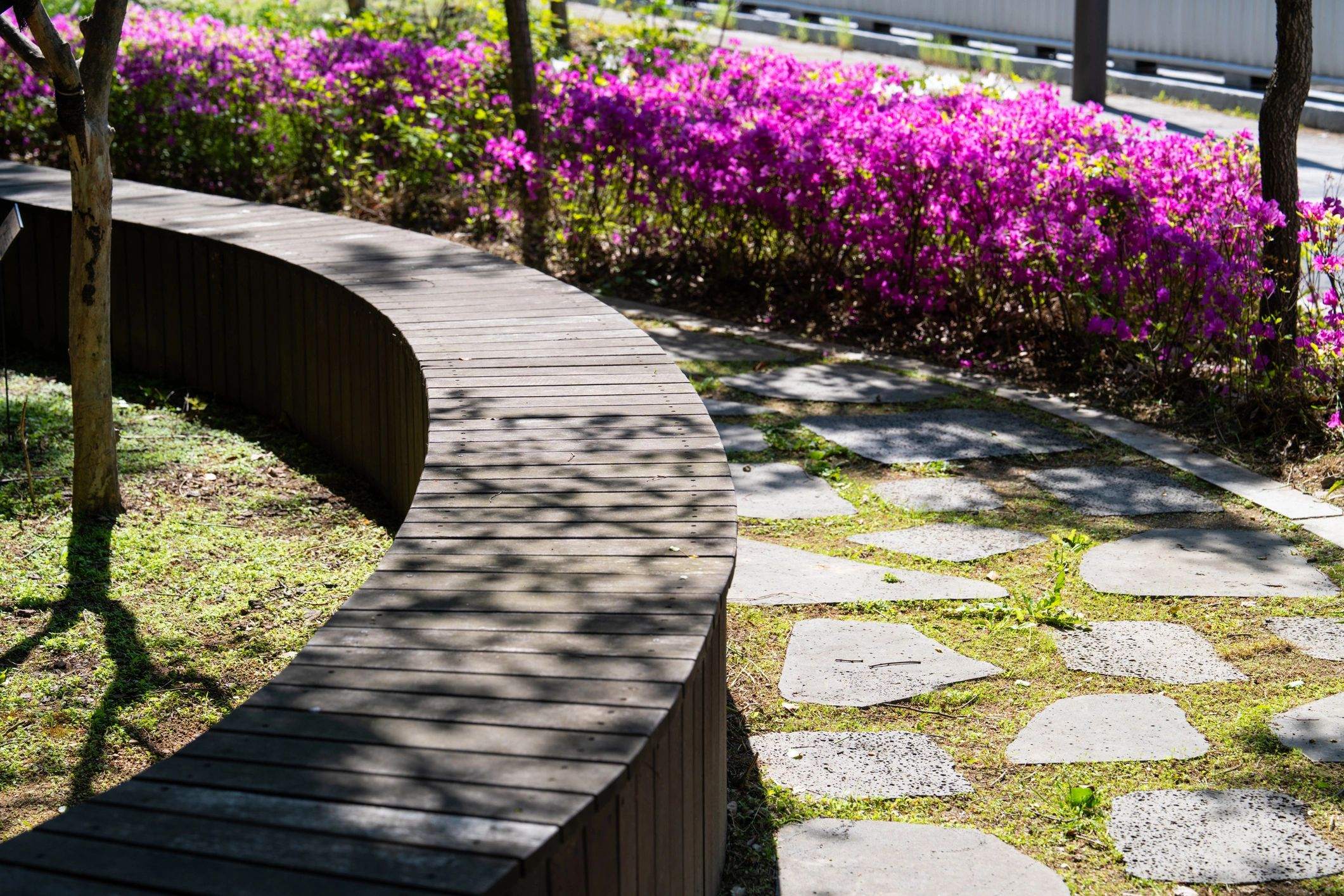 Peaceful garden bench surrounded by blooming flowers